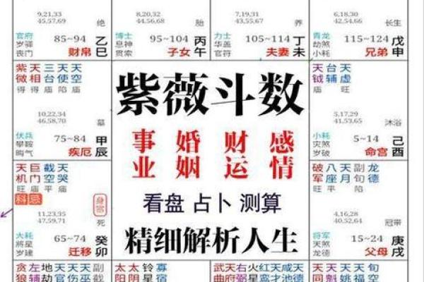 电脑算卦(电脑算命免费网)