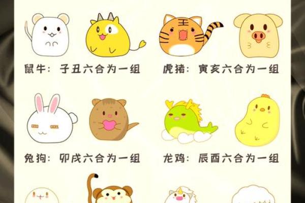 鸡狗兔一家三口属相合不合 狗 兔 鸡一家三口