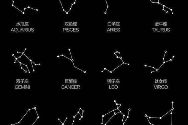 星座摩羯打一数字(星座魔蝎猜数字)