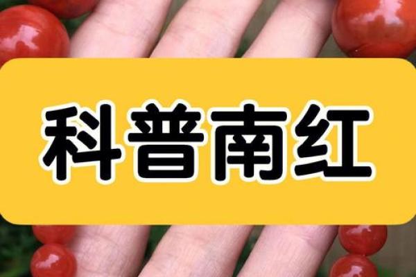 什么属相不能佩戴南红 什么属相不能佩戴南红玛瑙