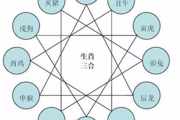 八字不合指的是什么生肖 八字不合是指什么生肖