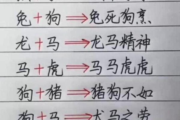 八字不合指的是什么生肖 八字不合是指什么生肖