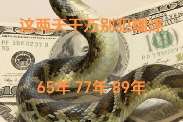 53年属蛇死于哪一年 53年属蛇的终身寿命很短暂吗