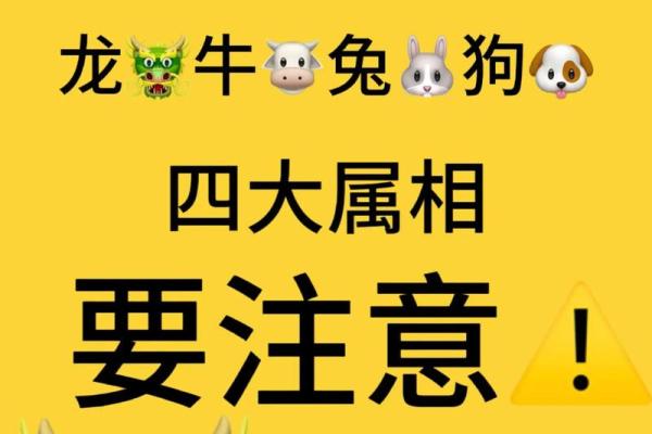 02年本命年是哪年 02年的本命年