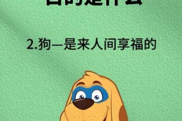 鼠肚鸡肠猜一生肖(鼠肚鸡肠猜一生肖)