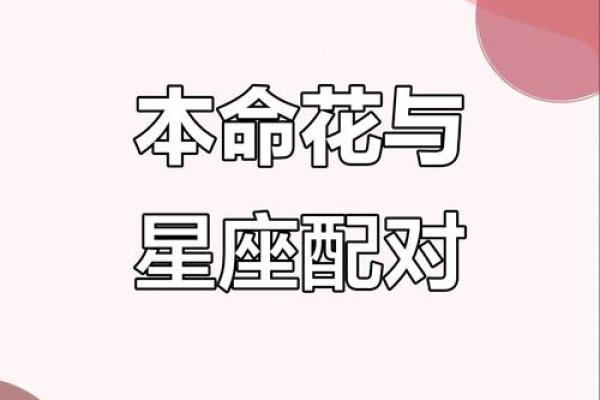 12星座专属暗器 12星座专属花朵