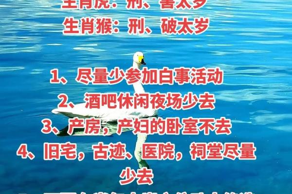 什么叫太岁怎么是犯太岁 什么叫太岁怎么是犯太岁2024
