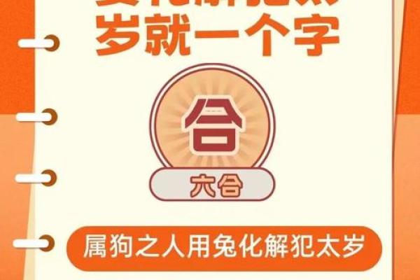 什么叫太岁怎么是犯太岁 什么叫太岁怎么是犯太岁2024