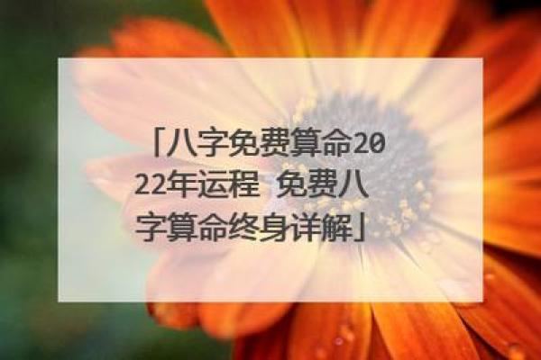 电脑免费算卦(电脑算命在线)