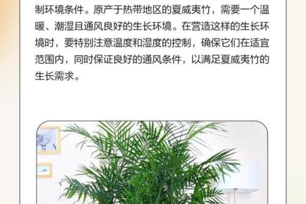 夏威夷竹什么属相不能养 夏威夷竹什么属相不能养呢