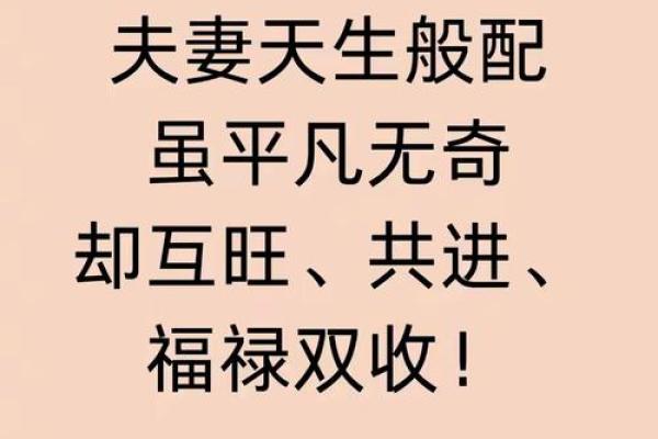 自讨没趣打一最佳生肖(自讨没趣啥意思)