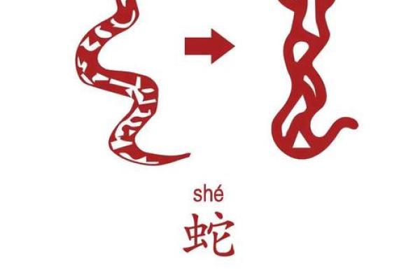 成语兴风作浪”指的是十二生肖中的哪一个动物？求详细解释和来源
