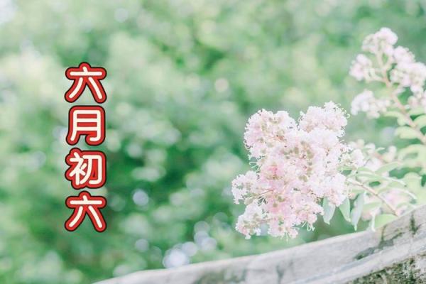 6月初六在中国民间有什么重要意义，是庆祝还是纪念日？