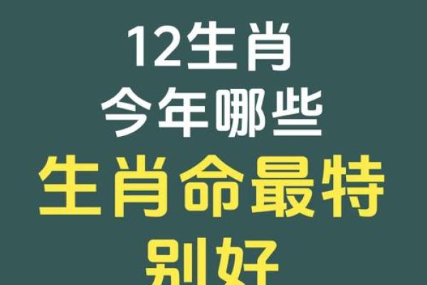 周而复始是什么生肖 周而复始打一生肖或数字