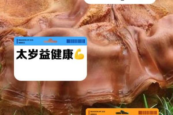 什么是太岁 什么是太岁堆黄