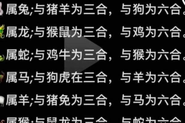 根据中国传统文化，生肖中哪些属相代表才子，哪些代表佳人，他们有何特点？