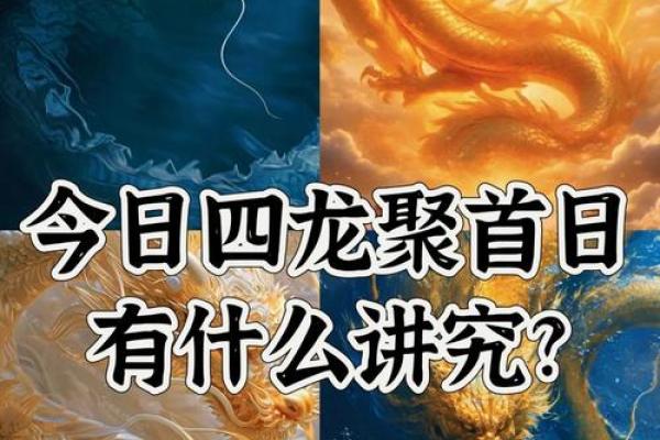 2024年的龙是百年难遇(2024年属龙是百年难遇吗)