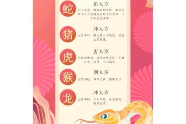 属鼠人2025年全年运势详解财运事业健康如何