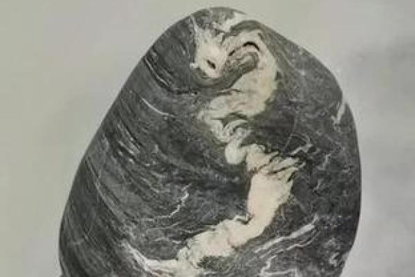 四海一家打一生肖