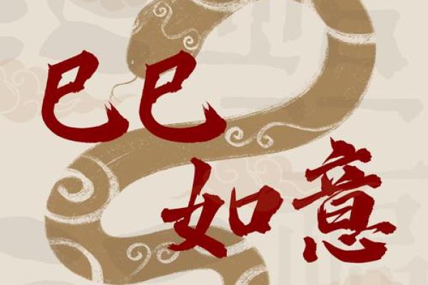 已年是属什么生肖 巳年属什么生肖
