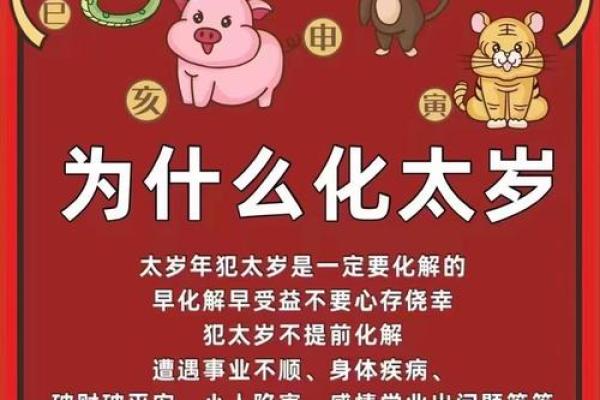 何为太岁 何为太岁年