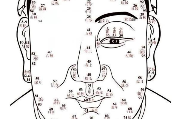 眉不过眼有什么说法 眉不过目面相