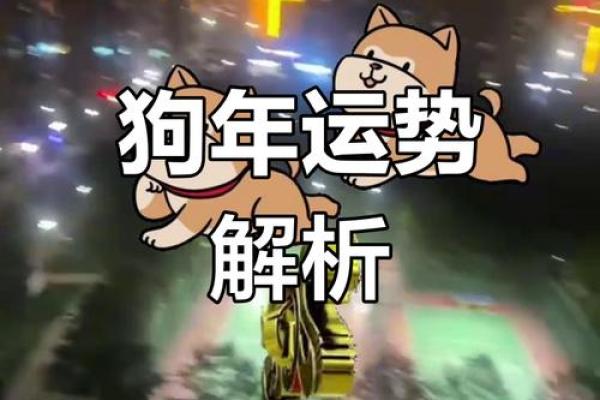 属狗人2025年运势完整版解析：事业财运健康感情每月运程指南