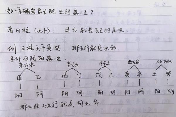 如何算出人的五行,人的年命五行如何推算