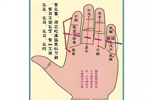 如何算命 如何算命宫