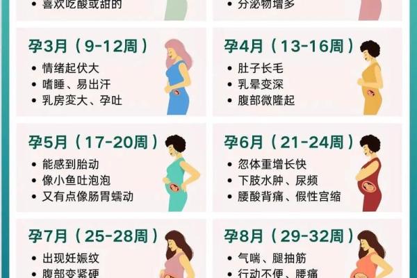 一个月几 一个月几周