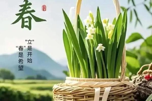 请问今年2024年的立春准确日期和具体时辰是什么时候？