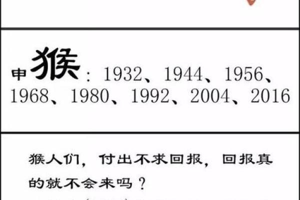 八字和属相哪个更重要 八字和属相有关系吗