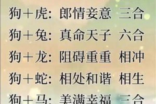 属狗的和什么属相最配、相克(属狗的和什么属相最配,相克最好)