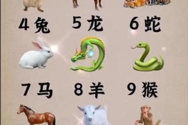 七石八焦各一方打一生肖正确答案解析，着个谜语到底指的是什么动物？