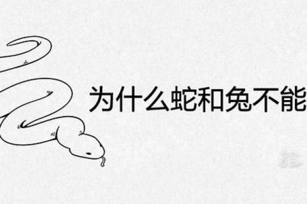 女蛇和男兔的属相合不合 女蛇和男兔在一起对谁不利