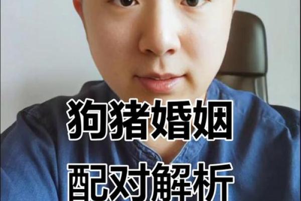 男猪女狗的属相合不合 男猪女狗属相合不合适