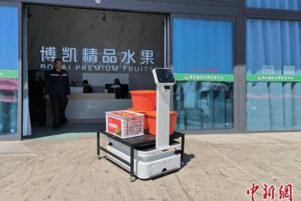菜篮子工程是哪一年提出的 菜篮子工程是干嘛的