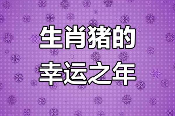 95年属猪男和97年属牛女2025年结婚黄道吉日查询