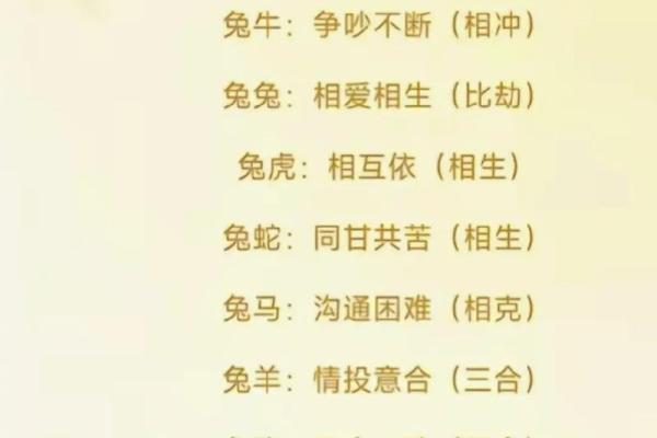 两个属兔的人合不合 两个属兔的人在一起好不好