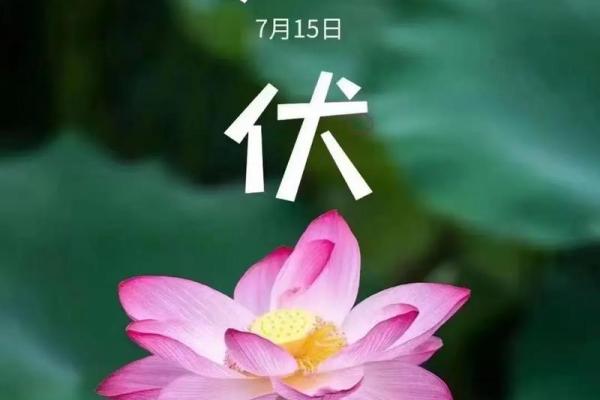2021年入伏时间几点(2021年入伏时间到底什么时候)