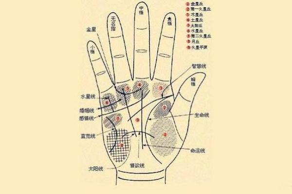 怎么算命最准自己算卦 怎么算命最准自己算卦用手