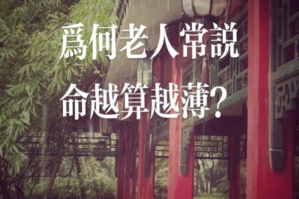 算命为什么不能免费 算命为什么不能不给钱