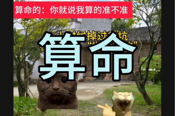算命先生准不准(算命先生准不准可不可信)
