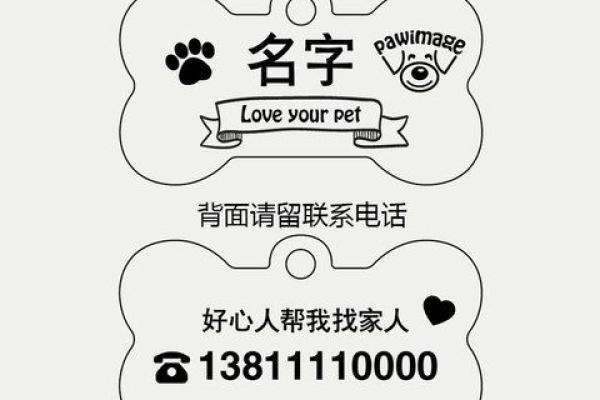 炫舞宠物名字英文 炫舞宠物英文名字有哪些
