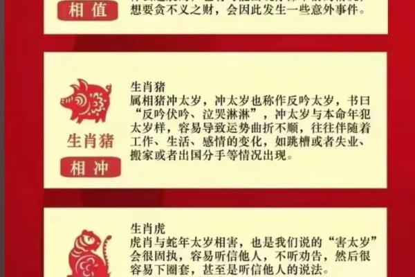 属猪的犯月是几月 属猪的犯几月_犯月危害