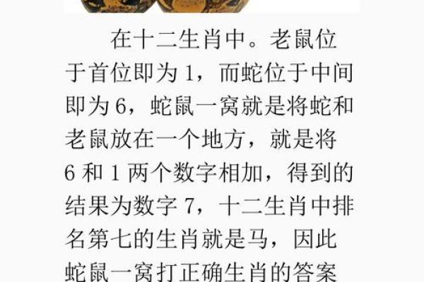 洞庭连天是什么生肖 洞庭连天打一正确生肖