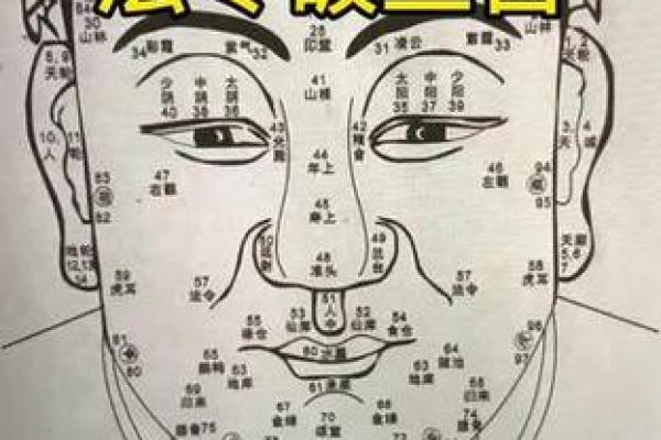 周易算命面相(周易算命网)