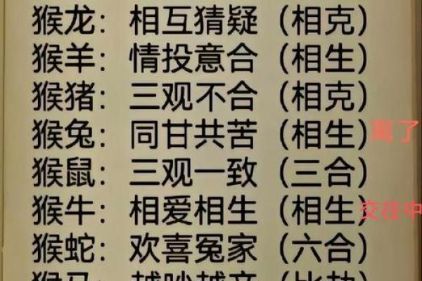 女马男猴的属相合不合 女马男猴合不合适婚姻