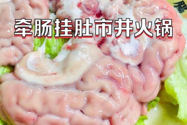 牵肠挂肚打一动物生肖→ 猪(猪内脏肥大,古祭祀以猪内脏喻牵挂) 牵肠挂肚打一动物生肖→ 猪(猪内脏肥大,古祭祀以猪内脏喻牵挂)