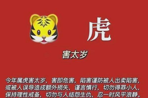 大的生肖是哪几个生肖 大,是什么生肖